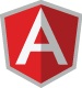 Best Software Development Services | Angular Team